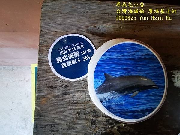 1090825多羅滿賞鯨IMG_20200825_122458 (640x480).jpg