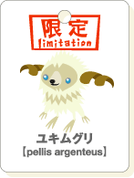 ユキムグリ.gif