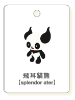 飛耳熊貓.gif