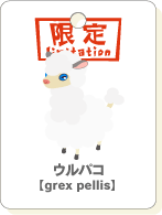ウルパコ.gif