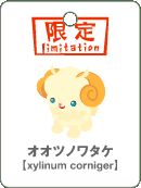 オオツノワタケ.gif