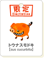 トウナスモドキ.gif