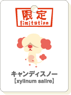 キャンディスノー.gif