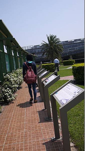 P1040030.JPG