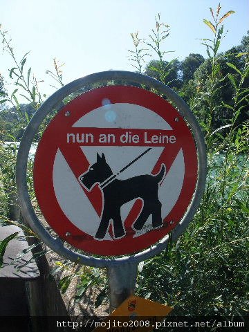 2009_0730hunde0094.JPG