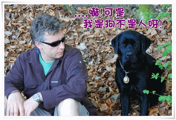 sticker3.gif