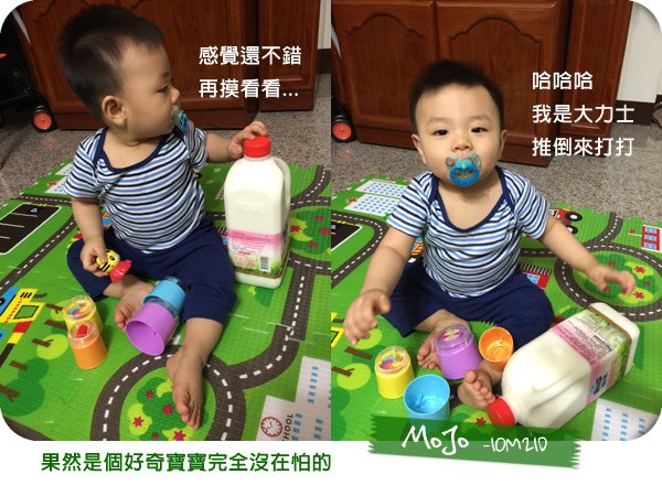 果然是個好奇寶寶完全沒在怕的.jpg