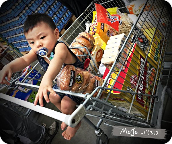 Costco-大採買.jpg