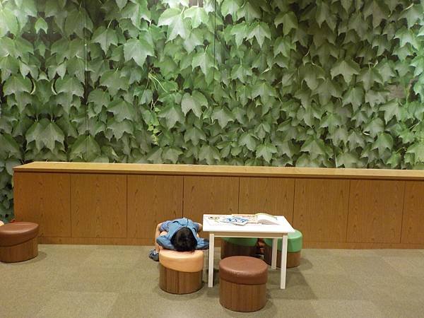 DSCN0539 (2).JPG