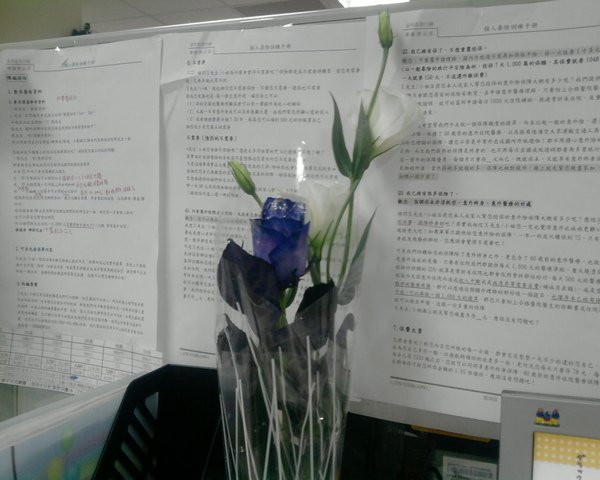 P23-12-08_19.10.jpg