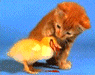image003.gif