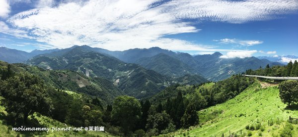 清境高空步道2_7.jpg