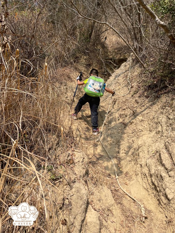 大社觀音山2.jpg