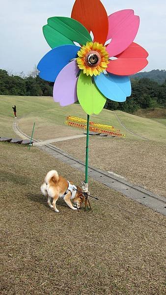 IMG_4171.JPG