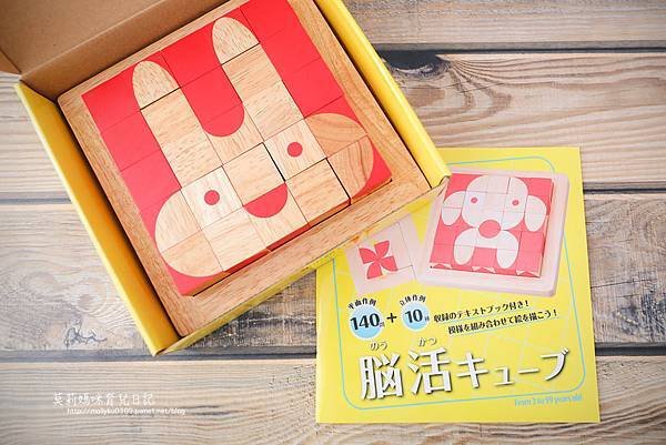 日本超人氣國民品牌-Ed.inter 超好玩的動動腦益智桌遊