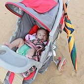 IMG_6564.jpg