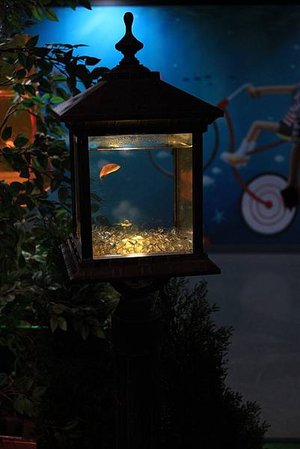 IMG_9414