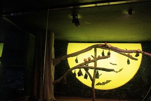 IMG_9420