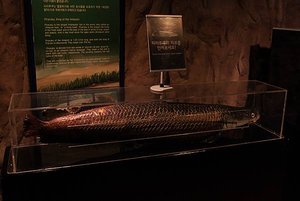 IMG_9423