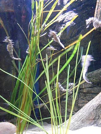 DSCN0321.JPG