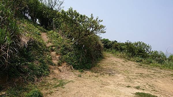 DSC_0165.JPG