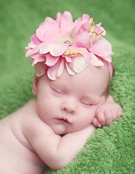 jamie-rae-infant-pink-rose-headband_1