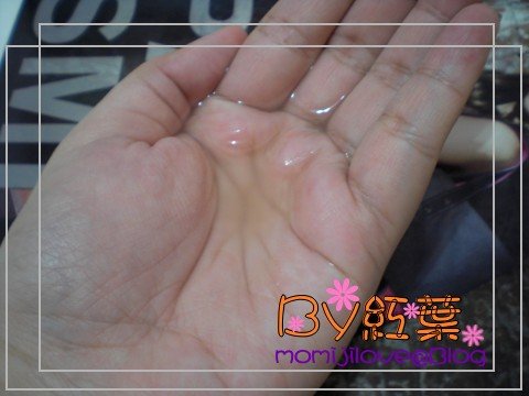 CIMG2686茶樹.JPG
