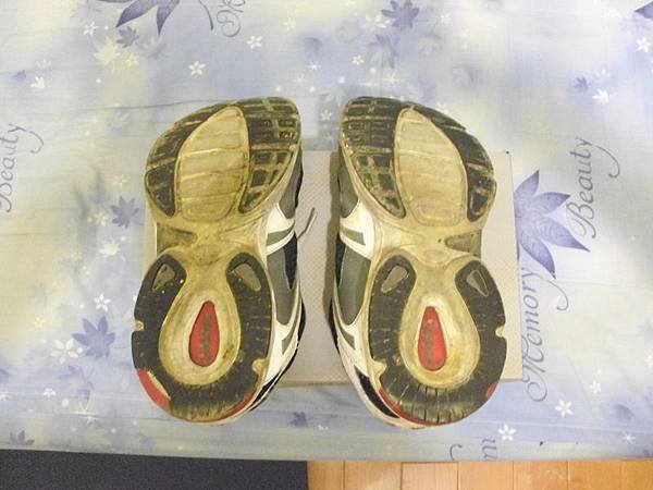 2011.06.01_好鞋一雙~亞瑟士Asics~GEL-KAYANO 17(4E超寬楦)開箱_0036.JPG