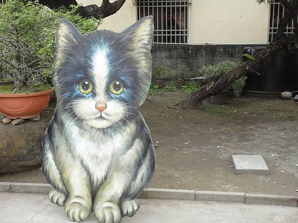 DSC04833.JPG
