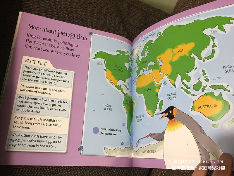 couldapenguin05.jpg