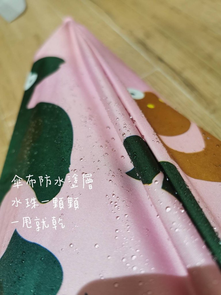 478826.jpg
