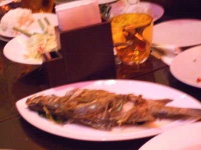 2009-08 232.jpg