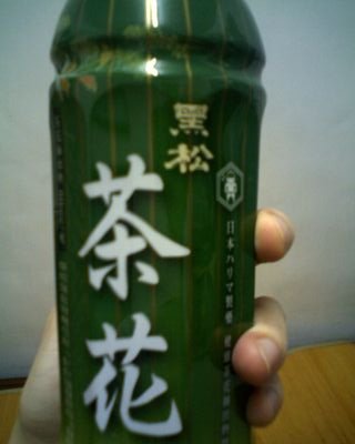 IMG0352A.jpg