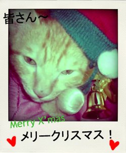 merryx