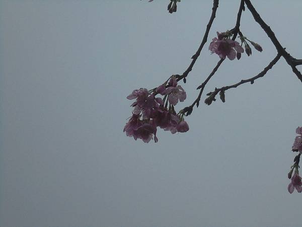 DSC02285.JPG