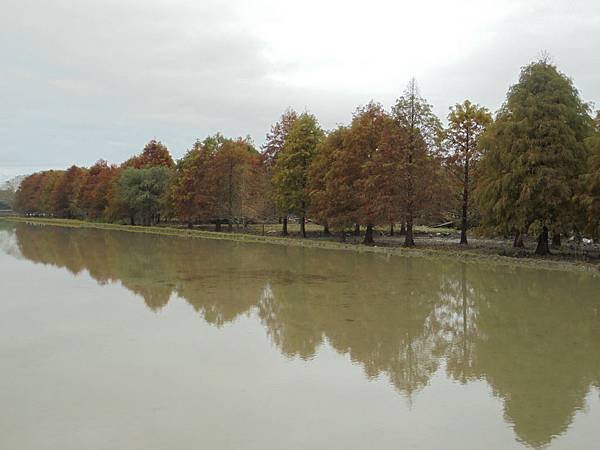 DSC07220.JPG