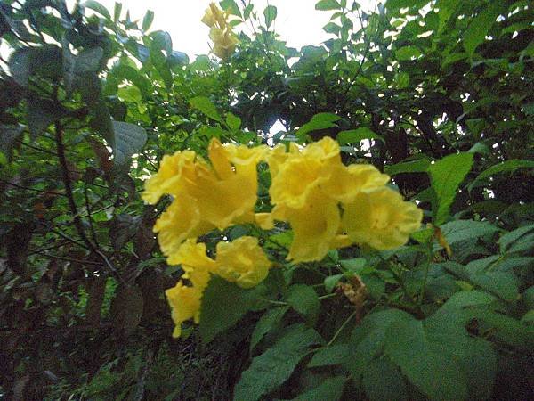 DSC00550.JPG