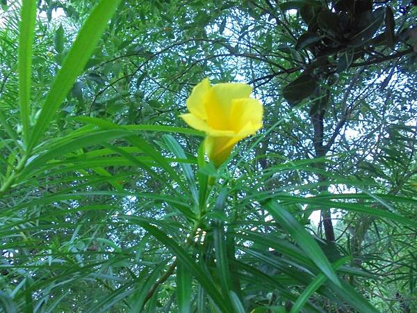 DSC00357.JPG