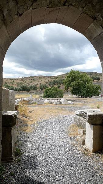 P1090976.jpg