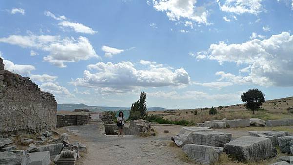 P1090977.jpg