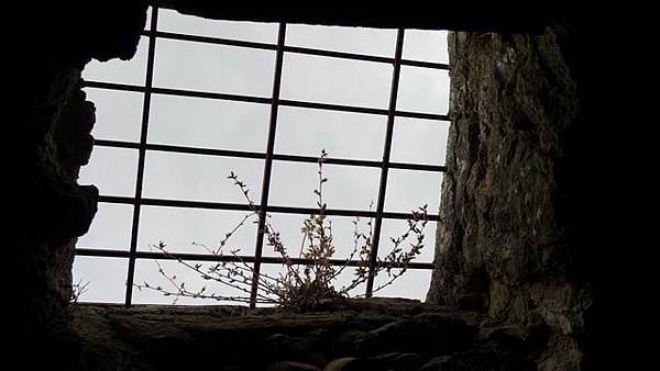 P1090997.jpg