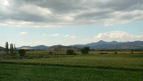 P1100028.jpg