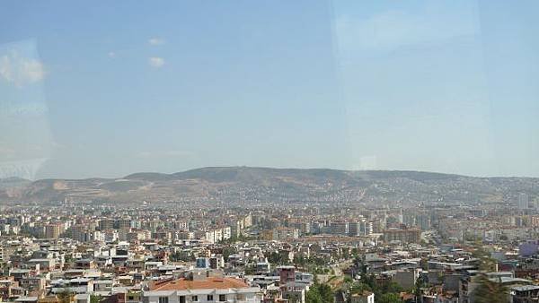 P1100039.jpg