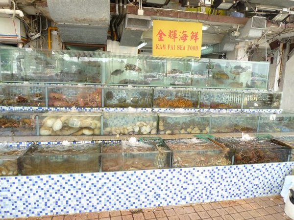 港41.jpg