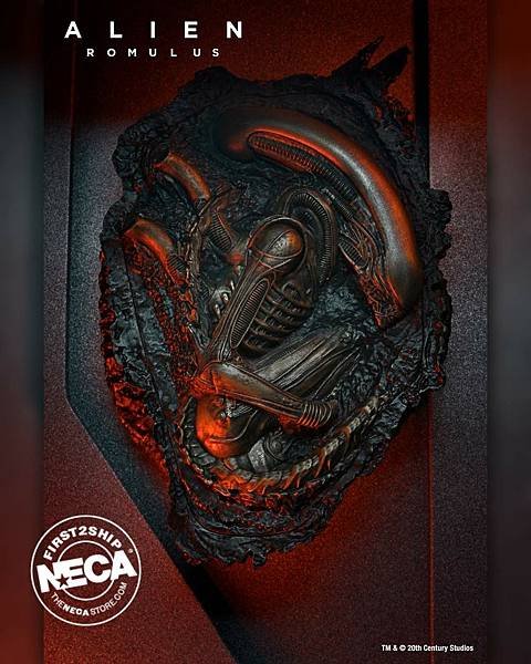 NECA 異形：羅穆路斯_0012.jpg