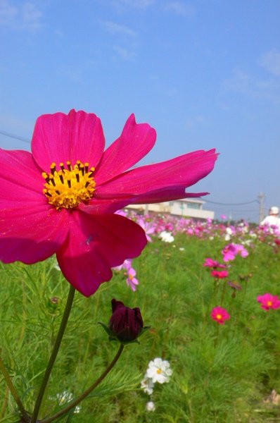 P1120444.JPG
