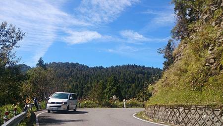太平山台灣山毛櫸國家步道