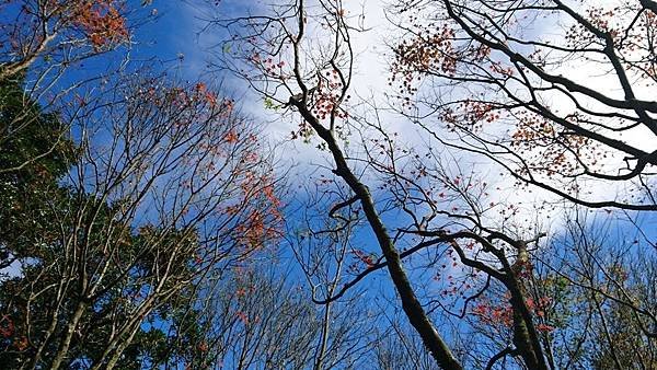 2016-12-21 11.49.07.jpg