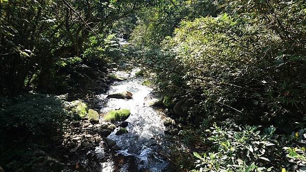 2018-01-23 10.54.26.jpg