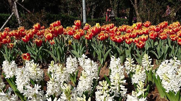 2018-01-23 13.59.21.jpg
